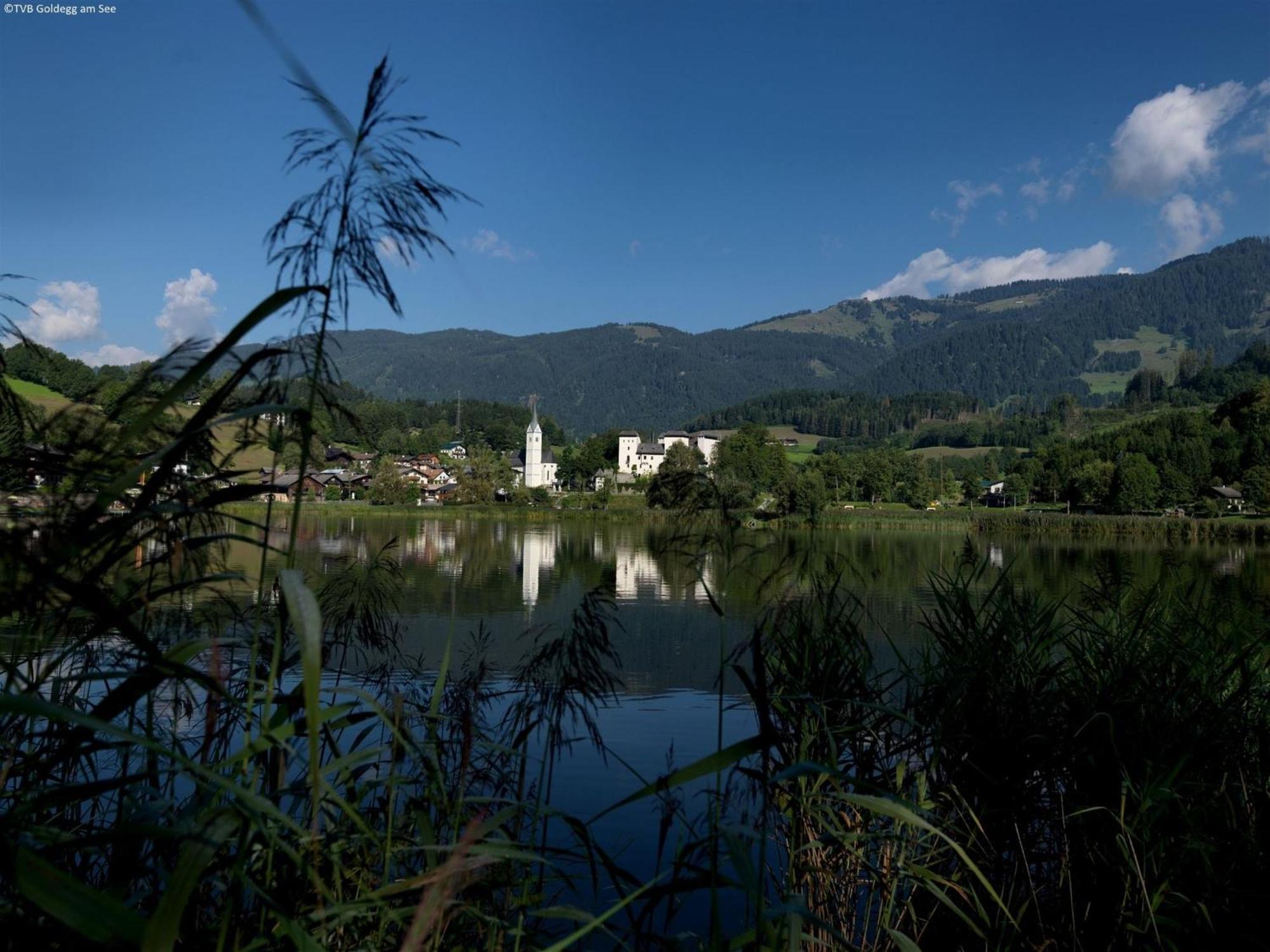 Luxurious Mansion In Goldegg Near Skiing Area Екстер'єр фото